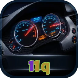 11q